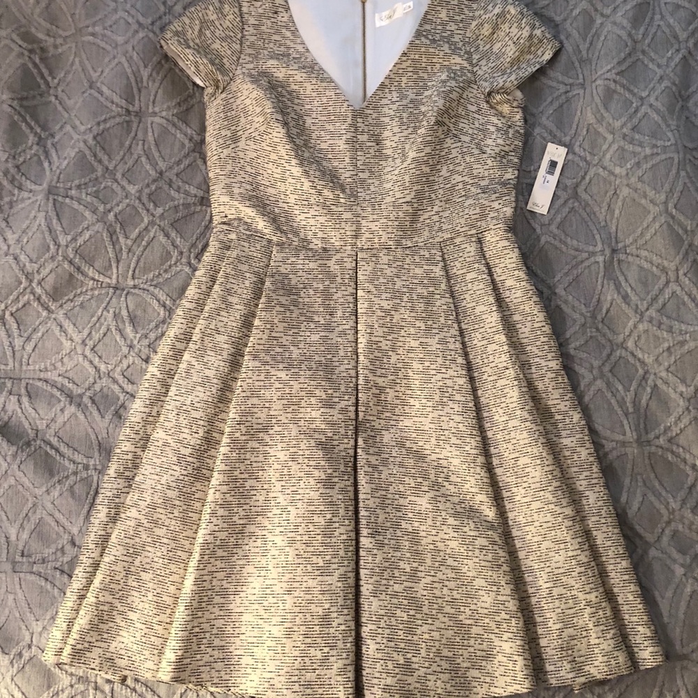 Eliza J Party Dress- size 14
